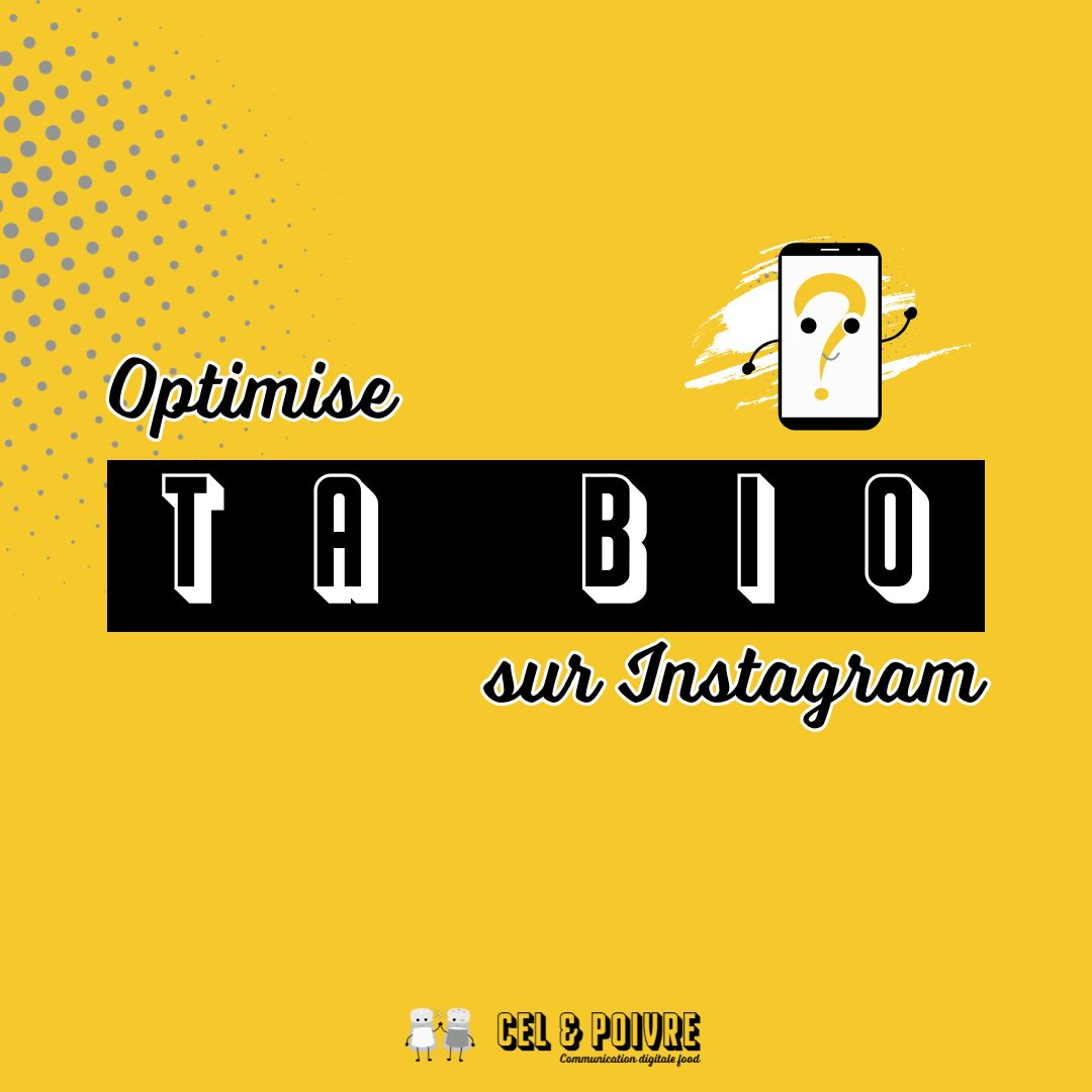 bio Instagram réseaux sociaux